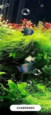 水族馆(3)