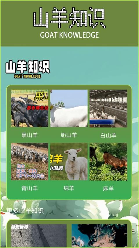 模懝山羊(3)