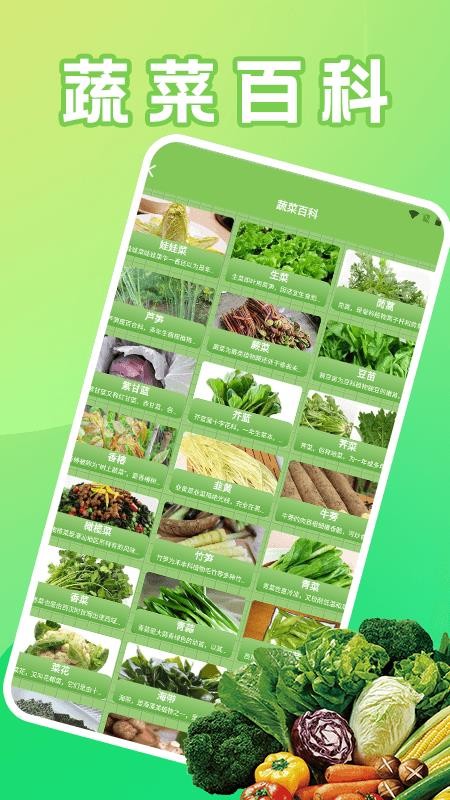 菜園大師好運(4)
