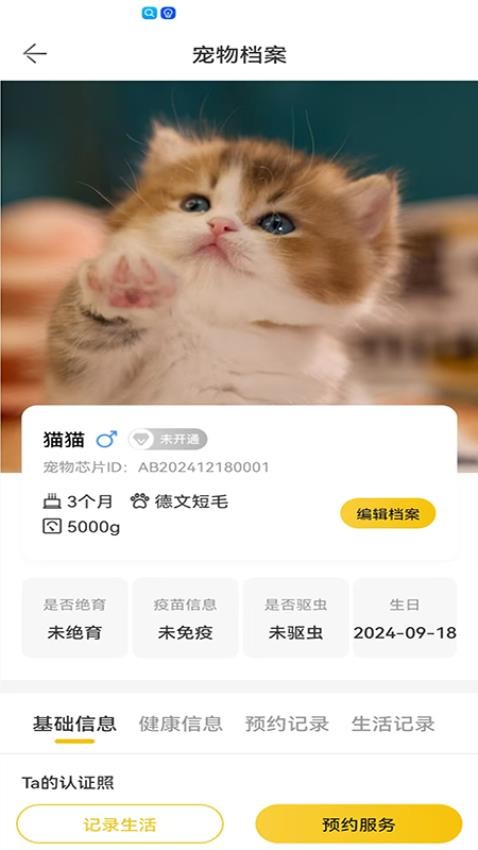 超级彼得(2)