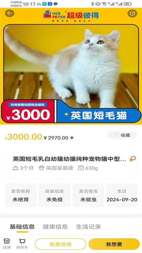 超级彼得(4)
