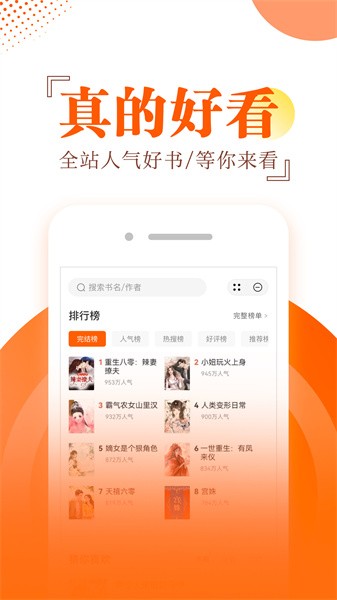番薯小说阅读器(2)