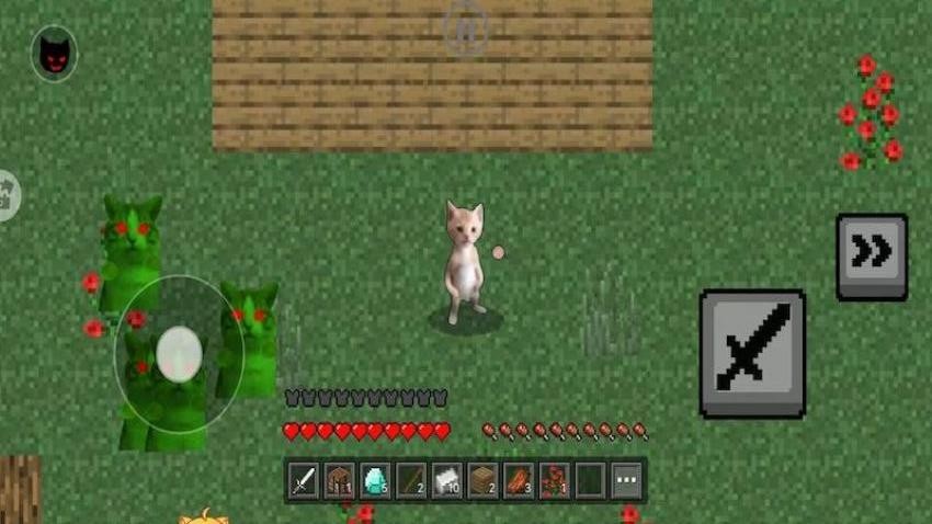 修猫逃生突围(1)