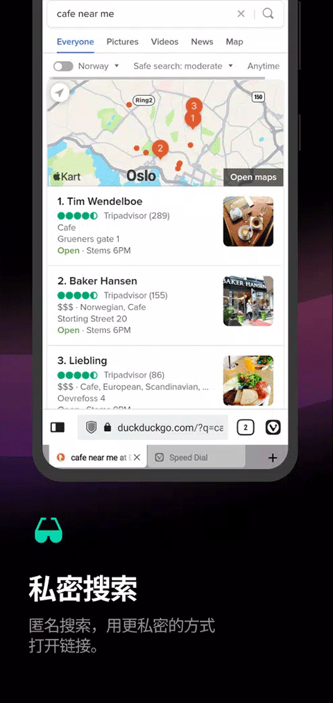 vivaldi最新版(5)