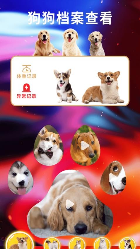 遇见我的猫翻(4)