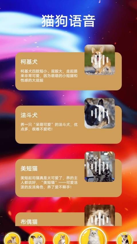 遇见我的猫翻(3)