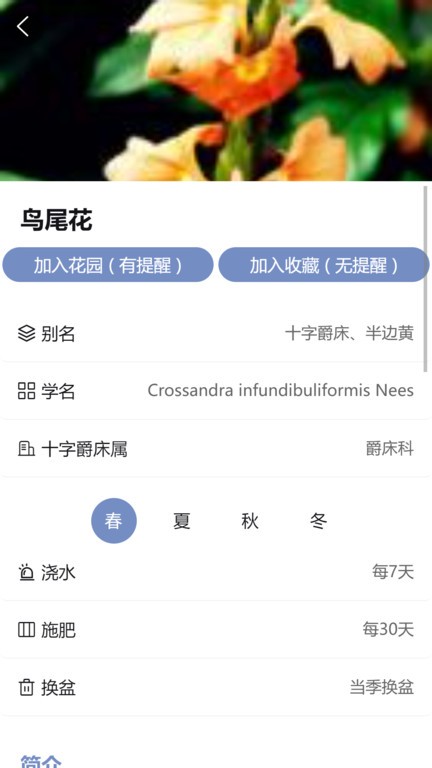 东篱花草(3)