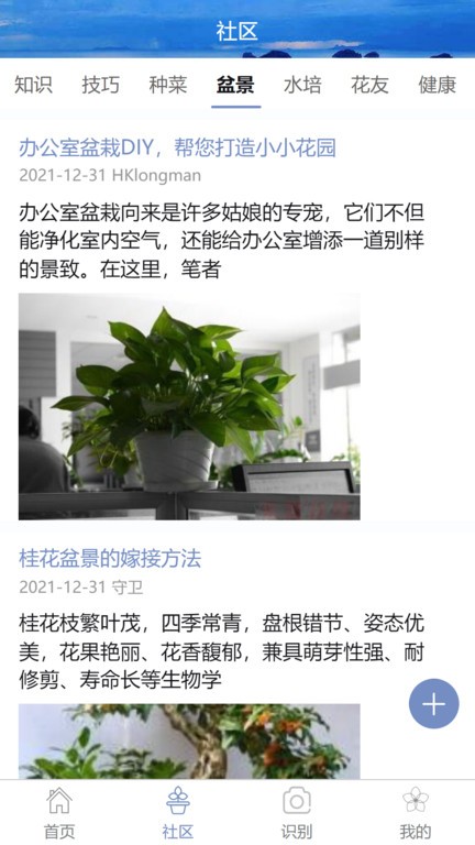 东篱花草(2)