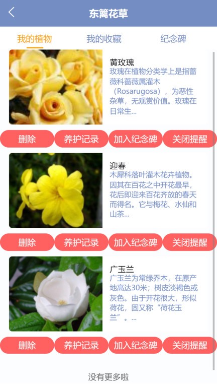 东篱花草(4)
