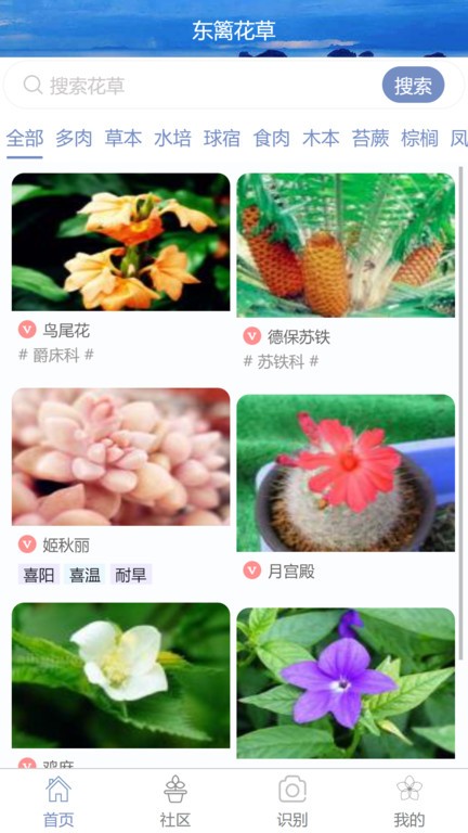 东篱花草(1)
