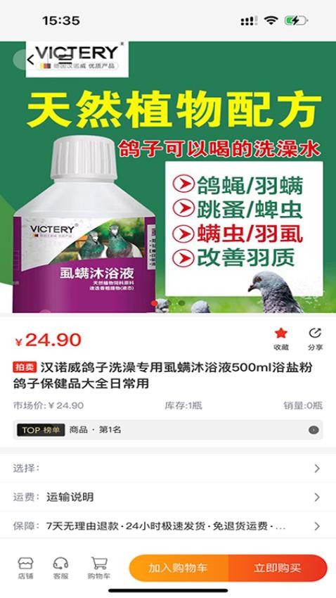 新鸽拍(2)