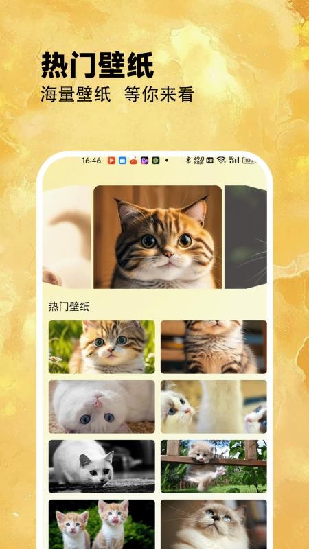筑梦小猫舍(3)