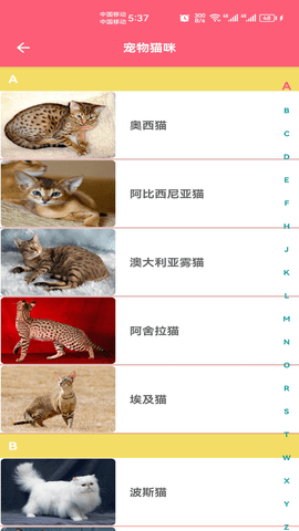 宠物宝宝大全(3)