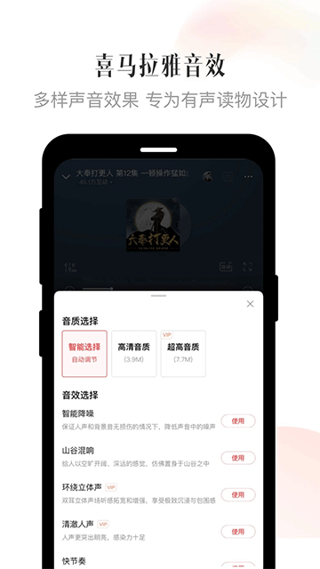 喜馬拉雅華為定制版(5)