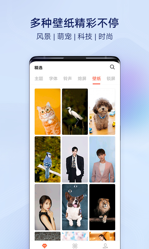 vivo主题商店免费版(3)