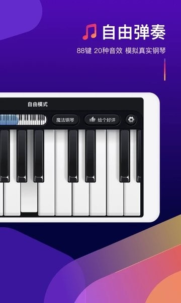 钢琴弹奏大师(1)