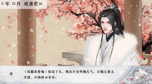 皇子考核计划(2)
