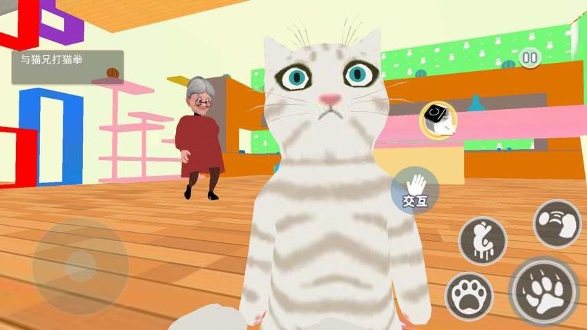 猫咪和奶奶(1)