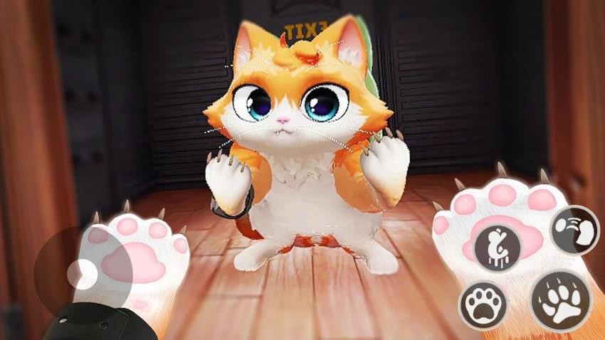 猫咪和奶奶(3)
