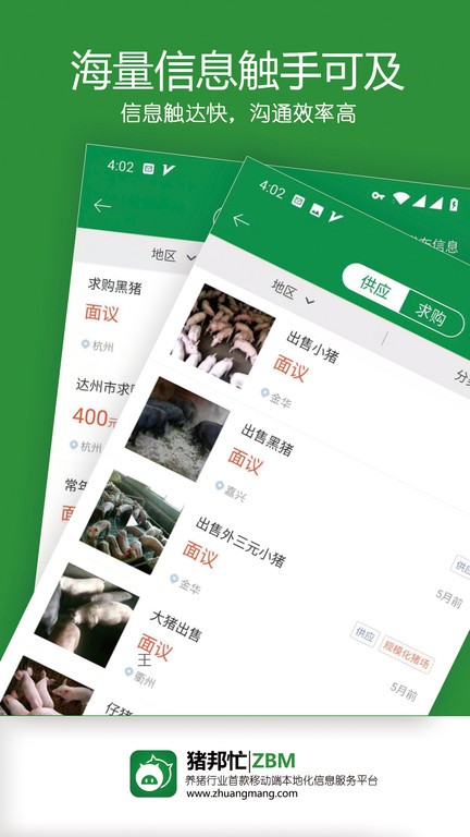 猪邦忙(4)
