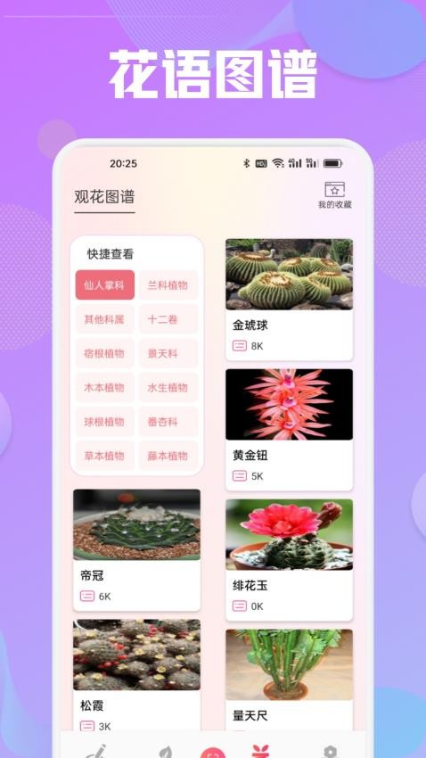 花语秀(2)