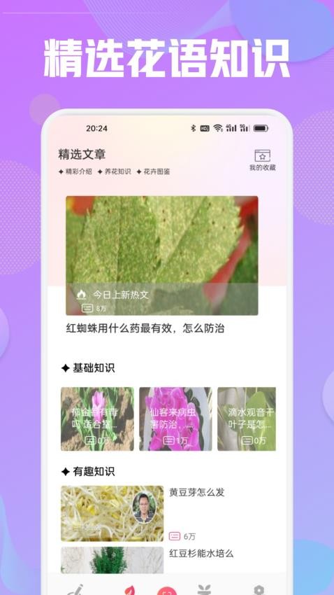 花语秀(1)