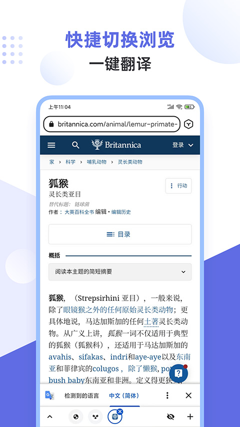 狐猴浏览器APP(5)