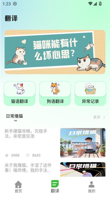 猫语空间(4)
