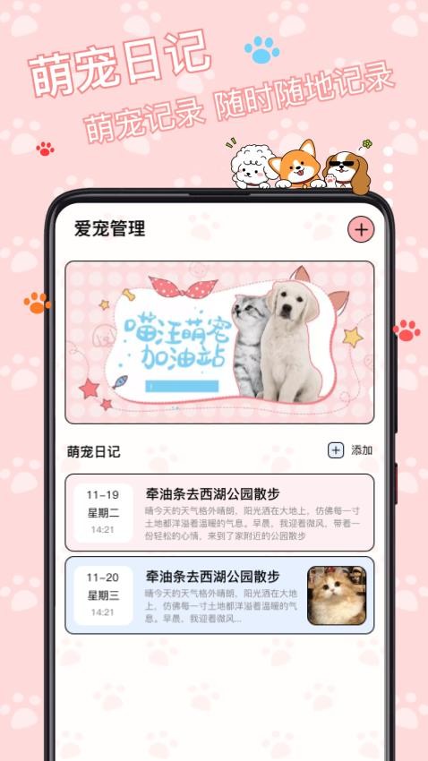 花喵记(1)
