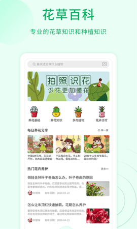 花草识别(3)
