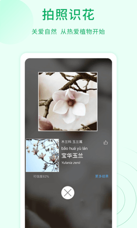 花草识别(2)