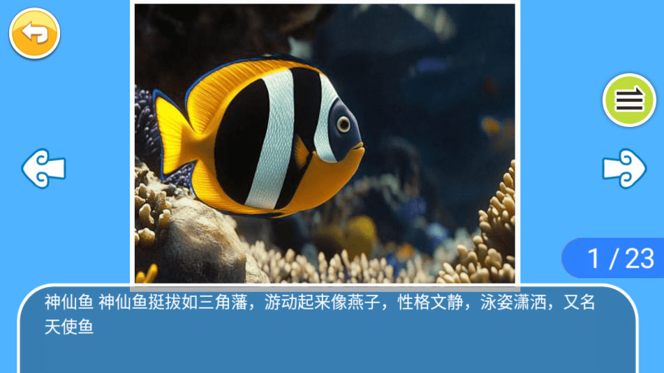 宝宝儿童动物乐园(3)