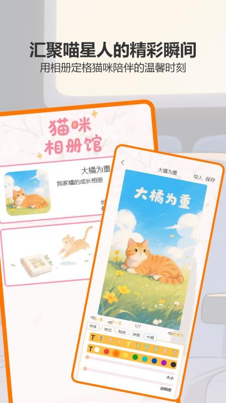 治愈猫咪(4)