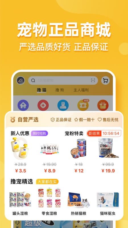 撸宠(4)