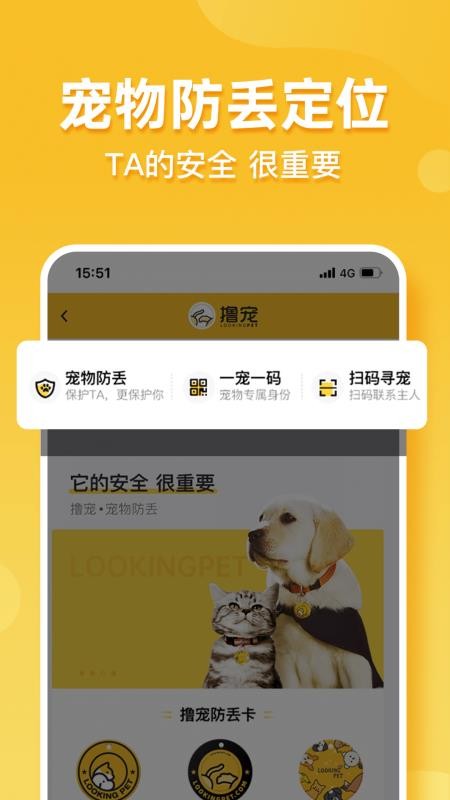 撸宠(2)