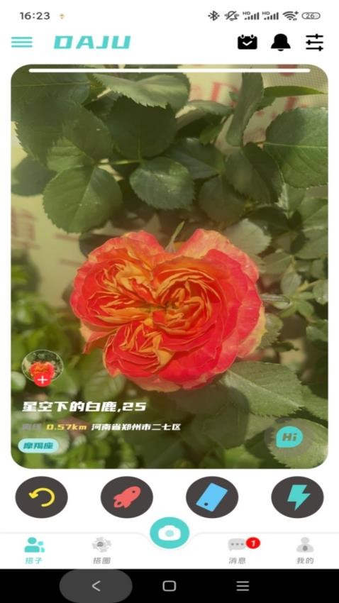 搭聚(4)