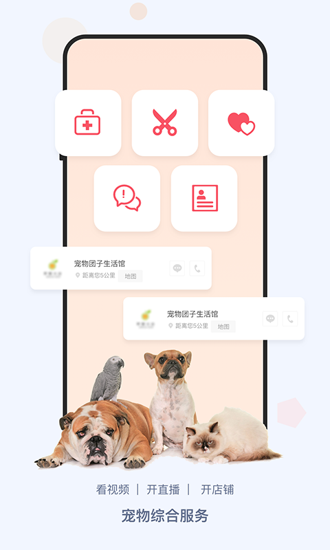 龙平台影视(5)