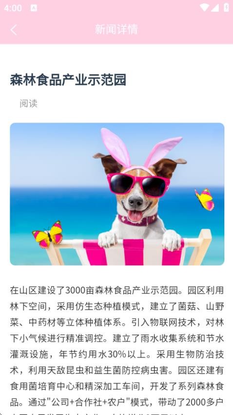 智农先锋(3)
