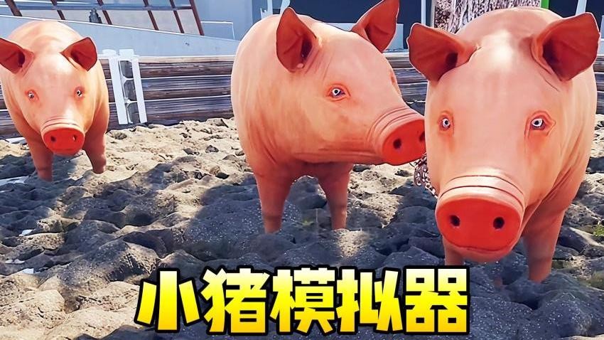 小猪模拟器1(4)