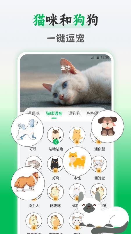 鸟语交流器(4)