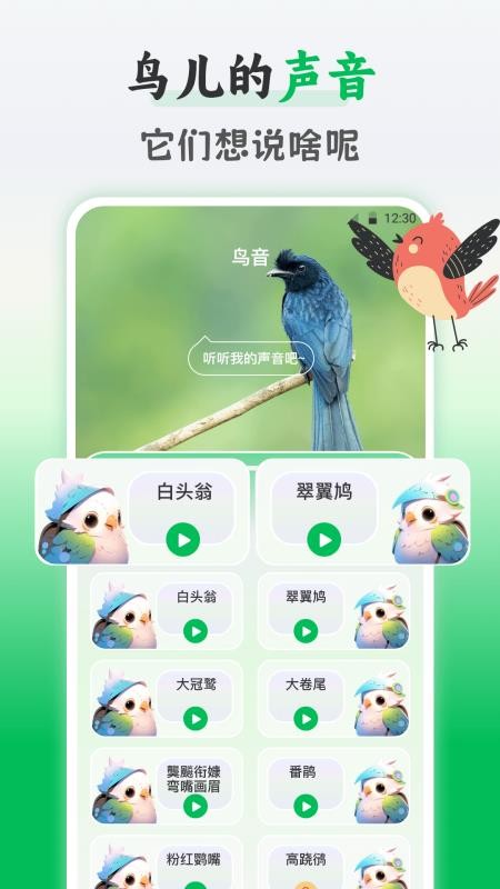 鸟语交流器(2)