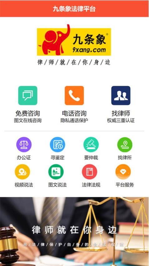 九条象(1)