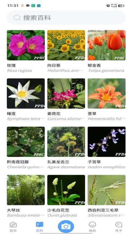 花伴侣专业版(2)
