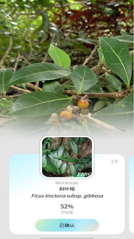 花伴侣专业版(1)