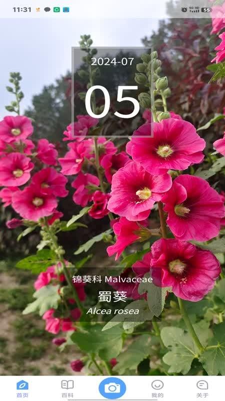 花伴侣专业版(3)