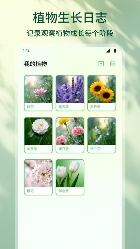花朵物语(4)