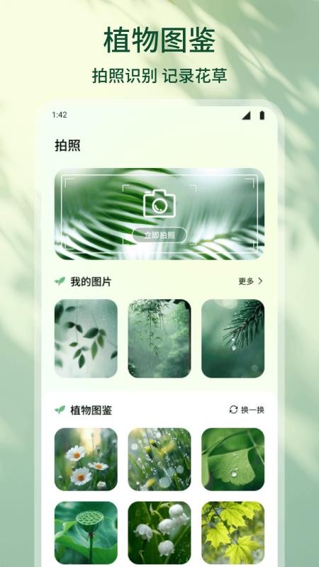 花朵物语(2)