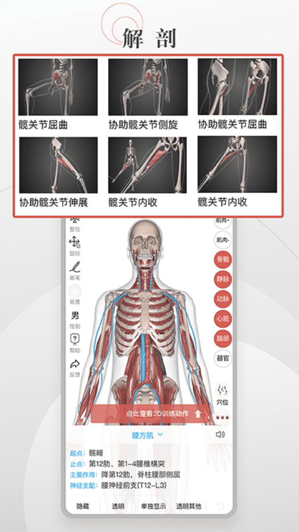 第三人体(4)