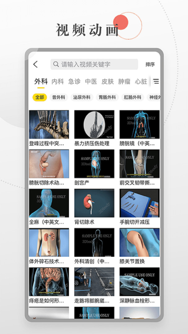 第三人体(3)