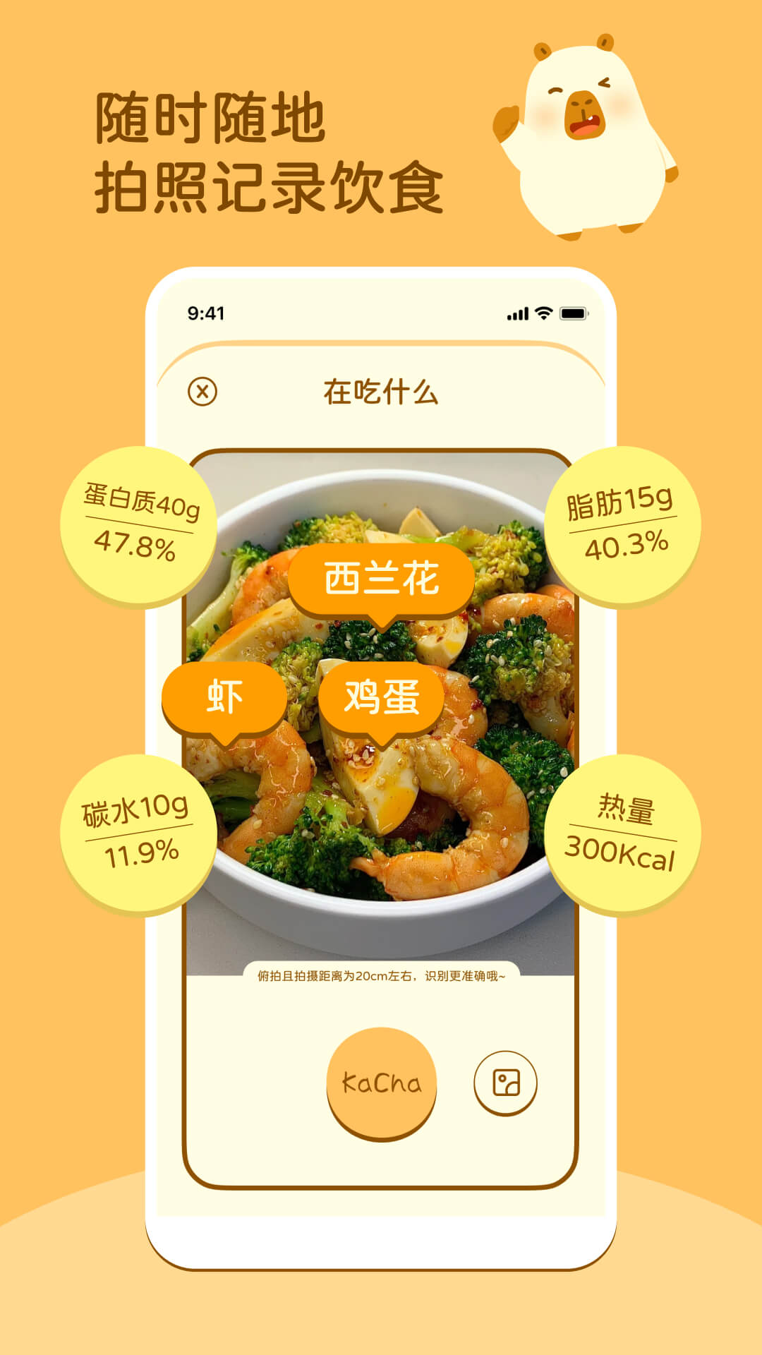 知食AI(3)